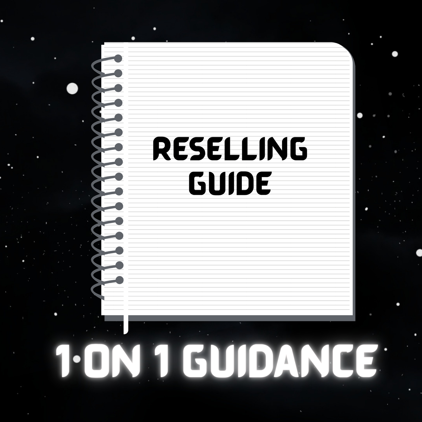 1 on 1 Reselling Guidance