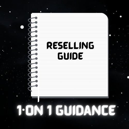 1 on 1 Reselling Guidance