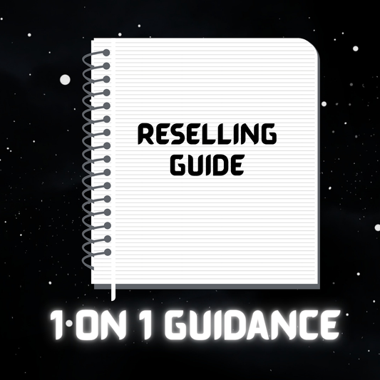 1 on 1 Reselling Guidance